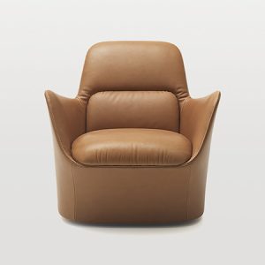 Fauteuil DS 110 – Cuir Living