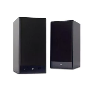 Totem Acoustic KIN Play