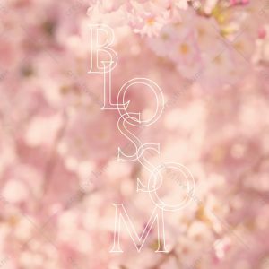 Blossom, affiche (max. A2)