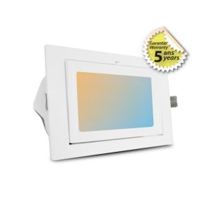 SPOT LED RECTANGULAIRE INCLINABLE AVEC ALIMENTATION ELECTRONIQUE 32/38W CCT GARANTIE 5 ANS